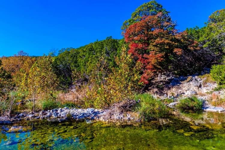 Lost Maples State Natural Area