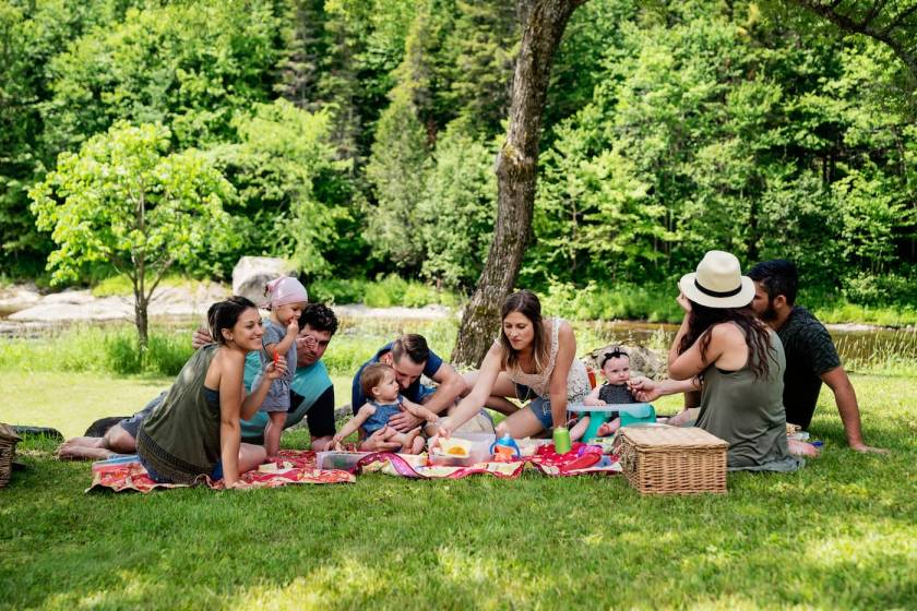 family picnic